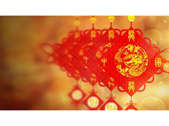 CHINESE LUNAR NEW YEAR CELEBRATION